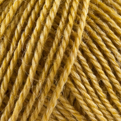 Onion No. 3 Organic Wool + Nettles 1109 Karry