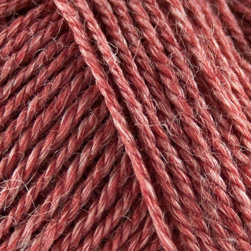 Onion No. 3 Organic Wool + Nettles 1119 Marsala