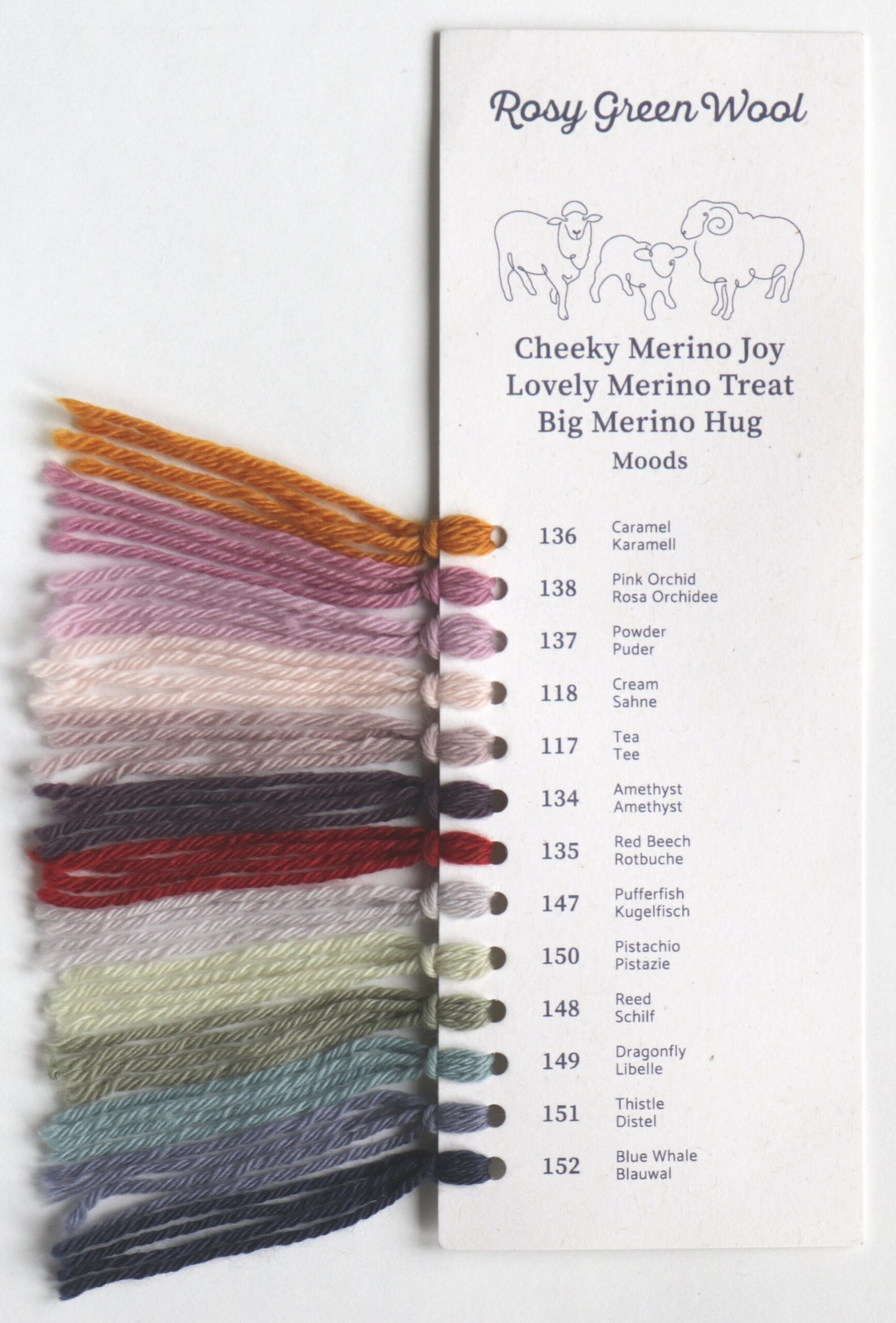 Rosy Green Wool Cheeky Merino Joy